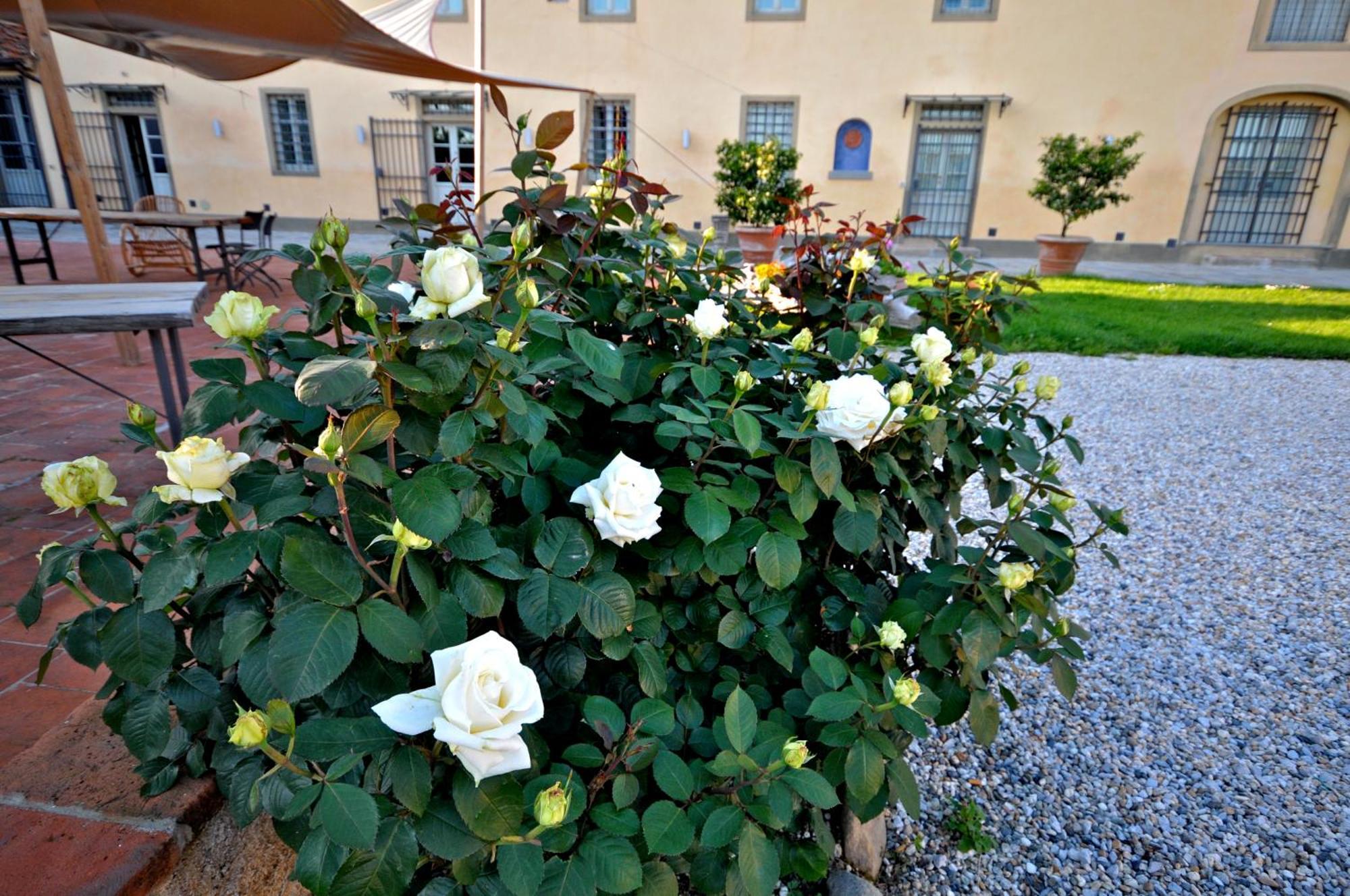 Agriturismo San Rocco Pistoia Buitenkant foto